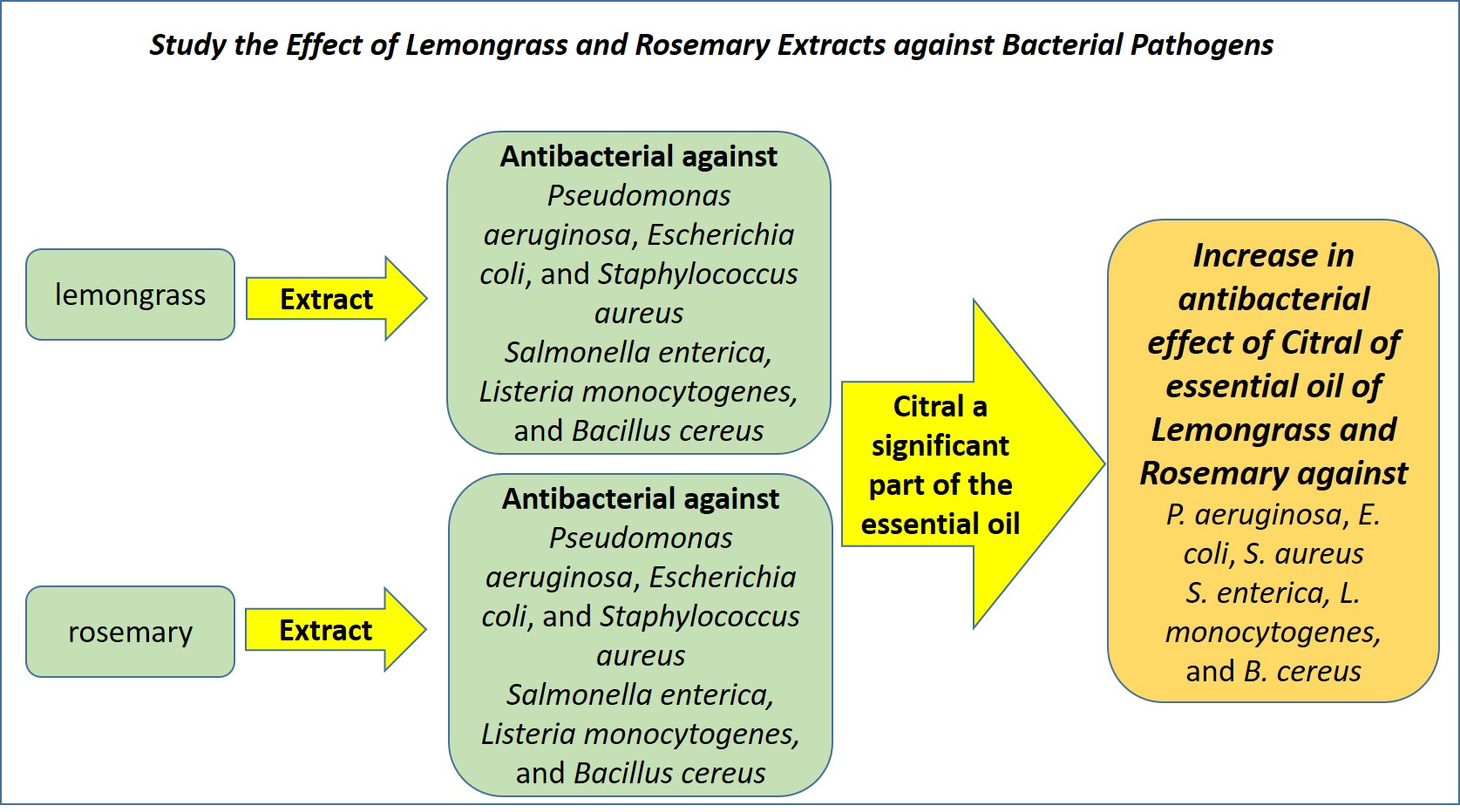 Graphical Abstract