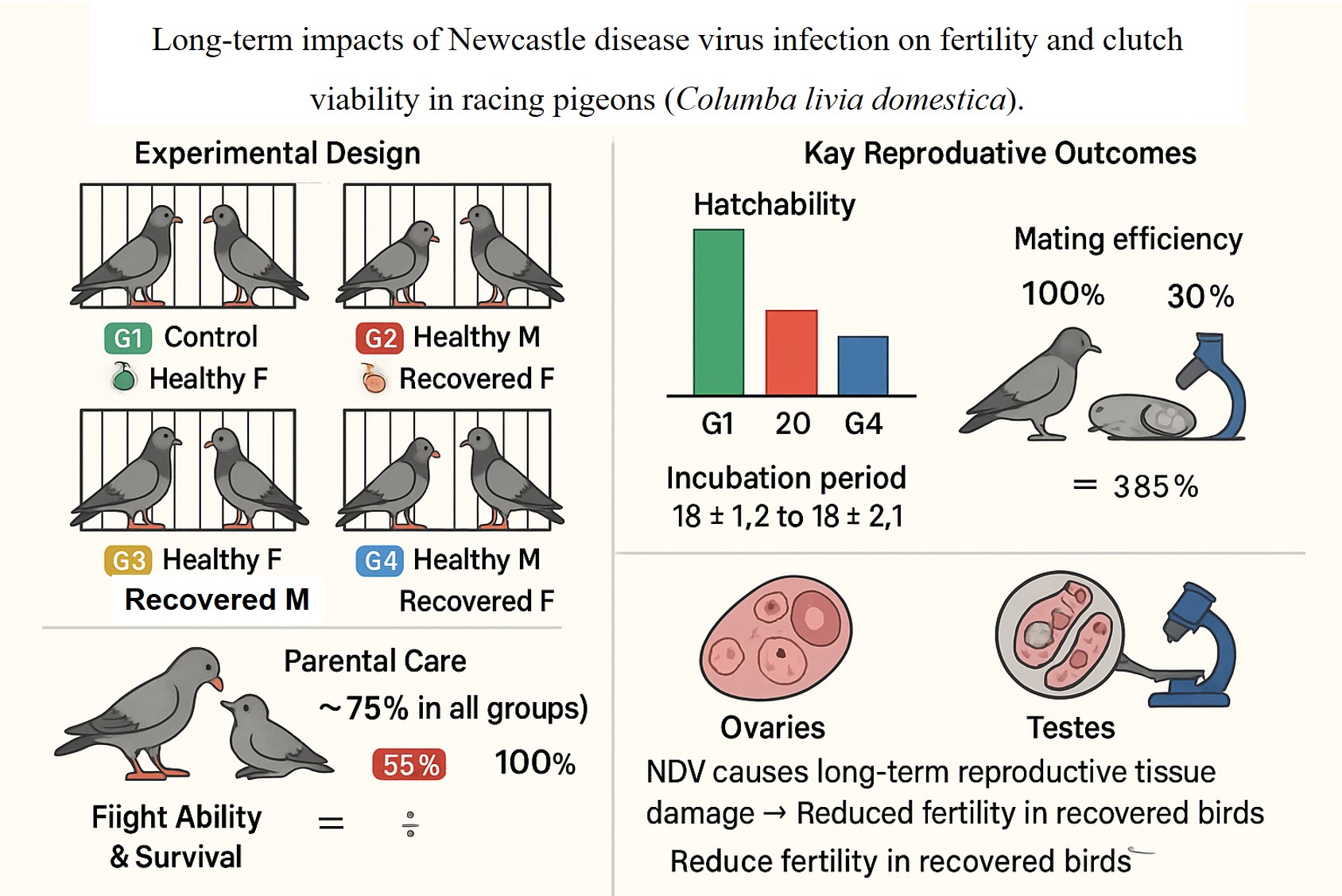 Graphical Abstract