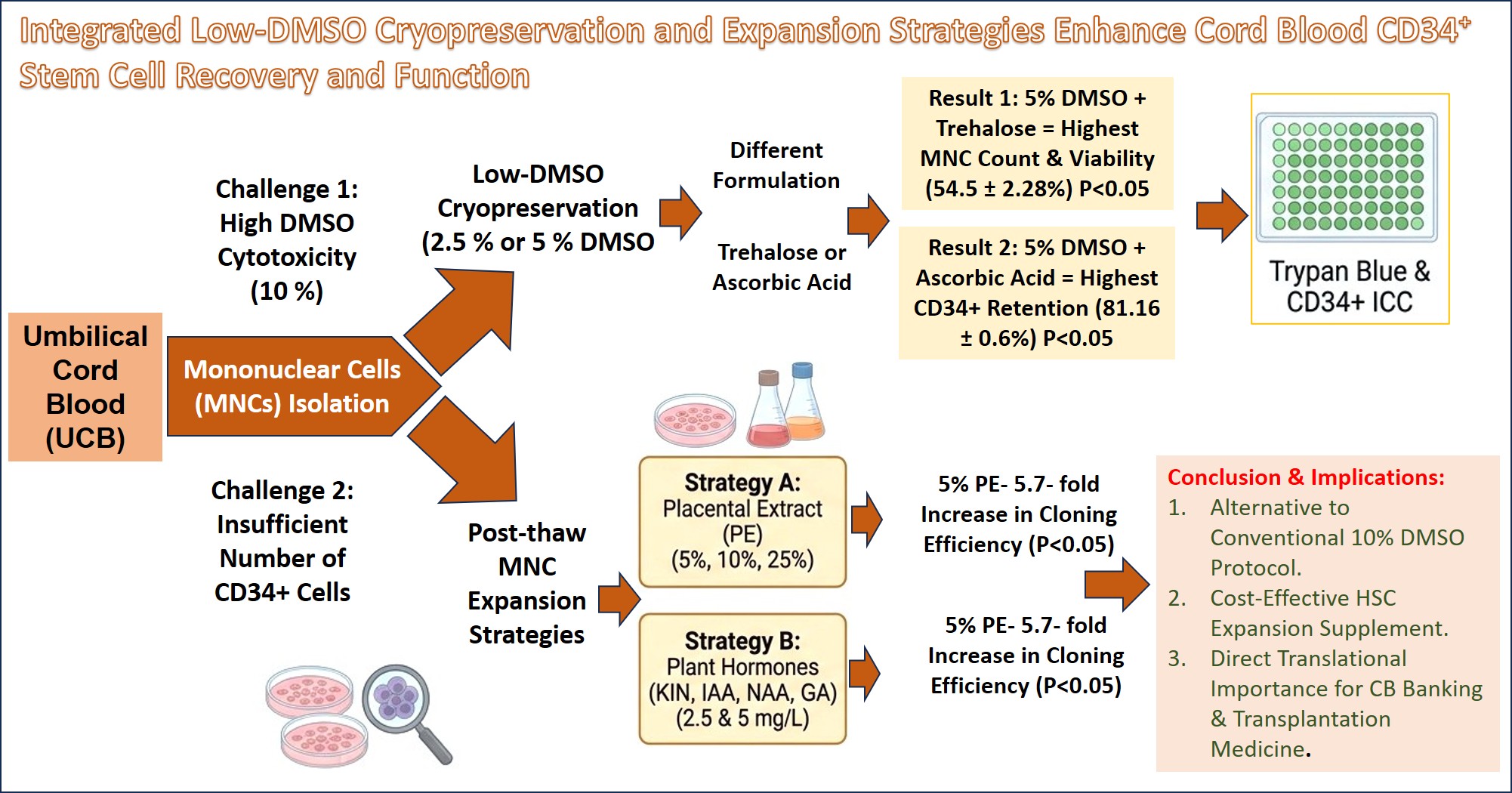 Graphical Abstract