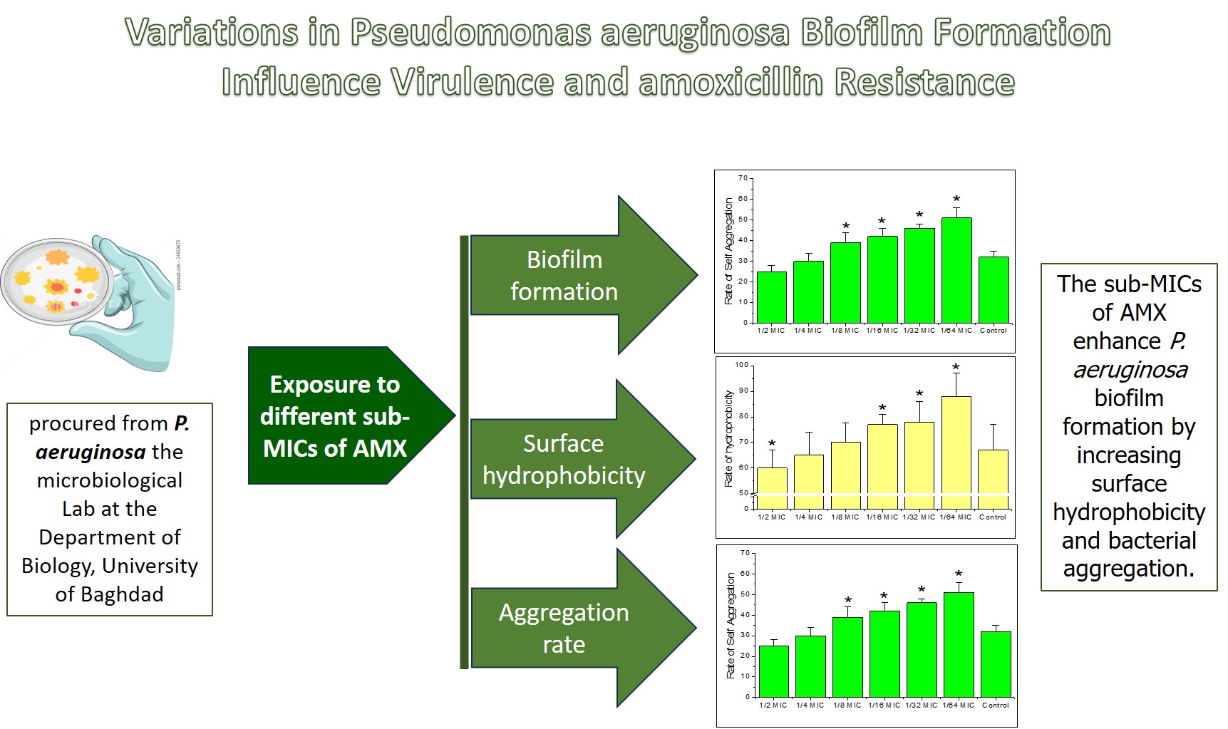 Graphical Abstract