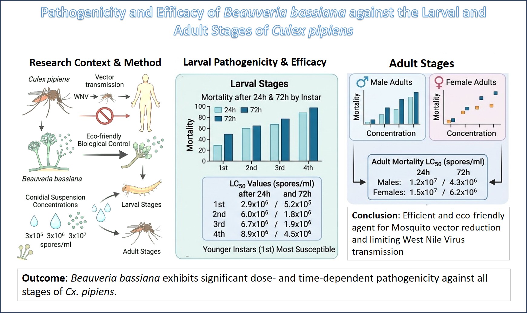 Graphical Abstract
