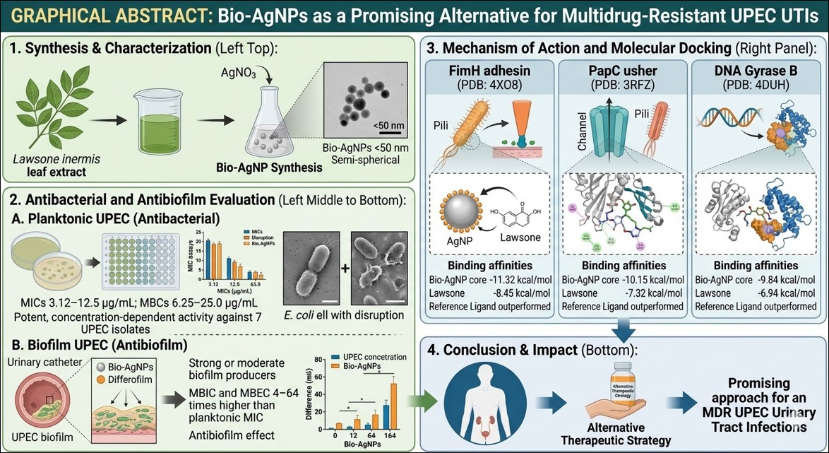 Graphical abstract