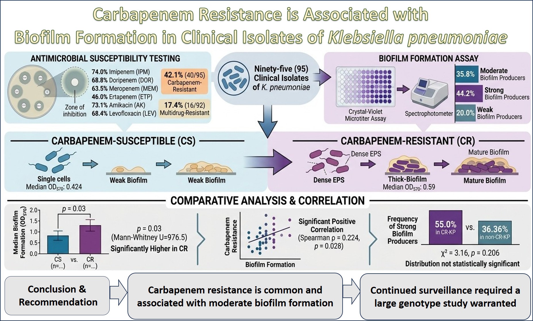 Graphical Abstract